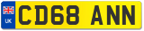 CD68 ANN