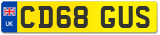 CD68 GUS