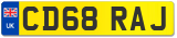 CD68 RAJ