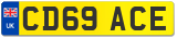 CD69 ACE