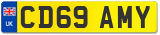 CD69 AMY