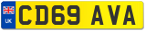 CD69 AVA