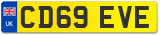 CD69 EVE