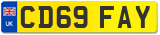 CD69 FAY