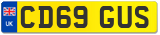 CD69 GUS