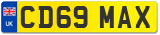 CD69 MAX