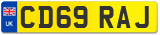 CD69 RAJ