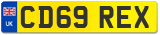 CD69 REX