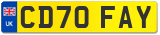 CD70 FAY