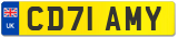 CD71 AMY