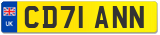 CD71 ANN