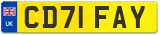 CD71 FAY