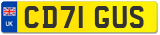 CD71 GUS