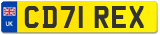 CD71 REX