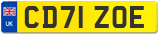 CD71 ZOE