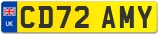 CD72 AMY