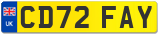 CD72 FAY