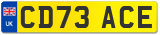 CD73 ACE