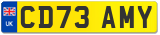 CD73 AMY