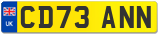 CD73 ANN