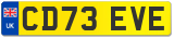 CD73 EVE