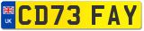 CD73 FAY