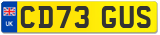 CD73 GUS