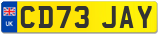 CD73 JAY