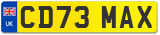 CD73 MAX