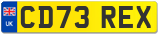 CD73 REX