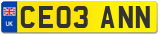 CE03 ANN