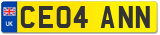 CE04 ANN