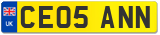 CE05 ANN