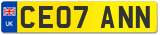 CE07 ANN