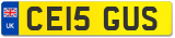 CE15 GUS