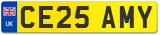 CE25 AMY