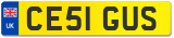 CE51 GUS