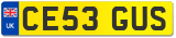 CE53 GUS