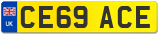 CE69 ACE