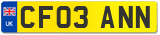 CF03 ANN