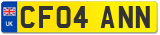 CF04 ANN