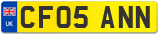 CF05 ANN