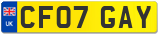 CF07 GAY