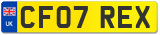 CF07 REX