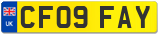 CF09 FAY