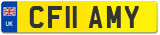 CF11 AMY