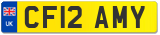 CF12 AMY