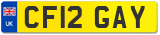 CF12 GAY