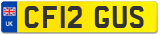 CF12 GUS