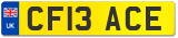 CF13 ACE